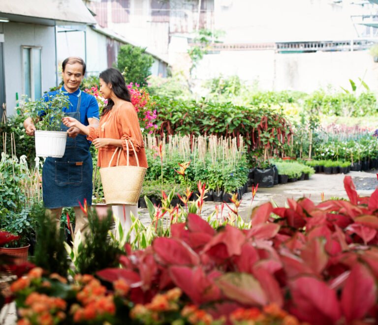 Balcony Gardening Ideas for High-Rise Living in Zirakpur